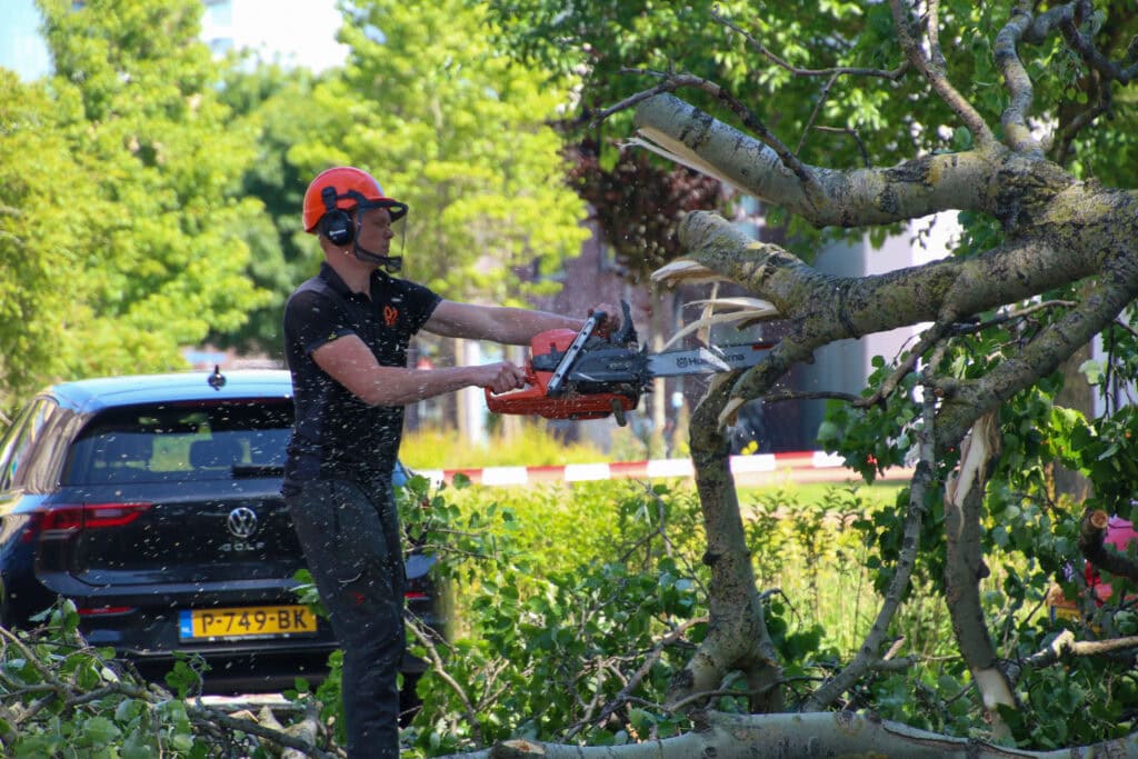 20220602133949_IMG_0731