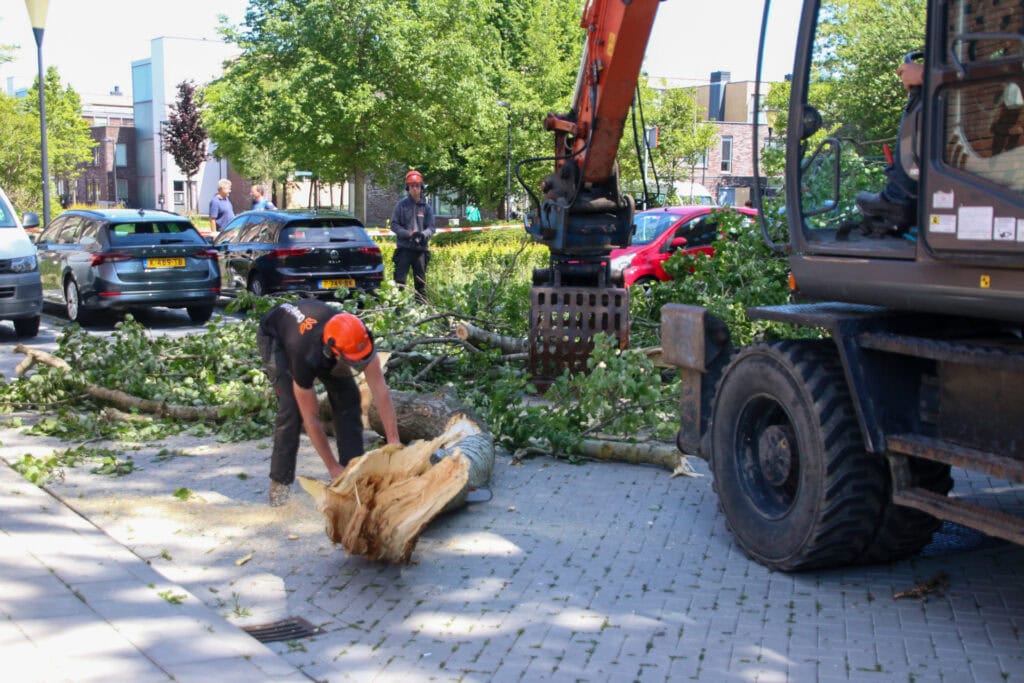 20220602135542_IMG_0746