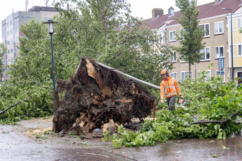 Grote boom omgewaaid Lange Nieuwstraat IJmuiden