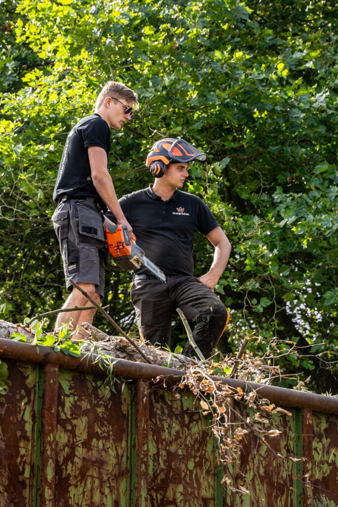 20211107_165052000_iOS