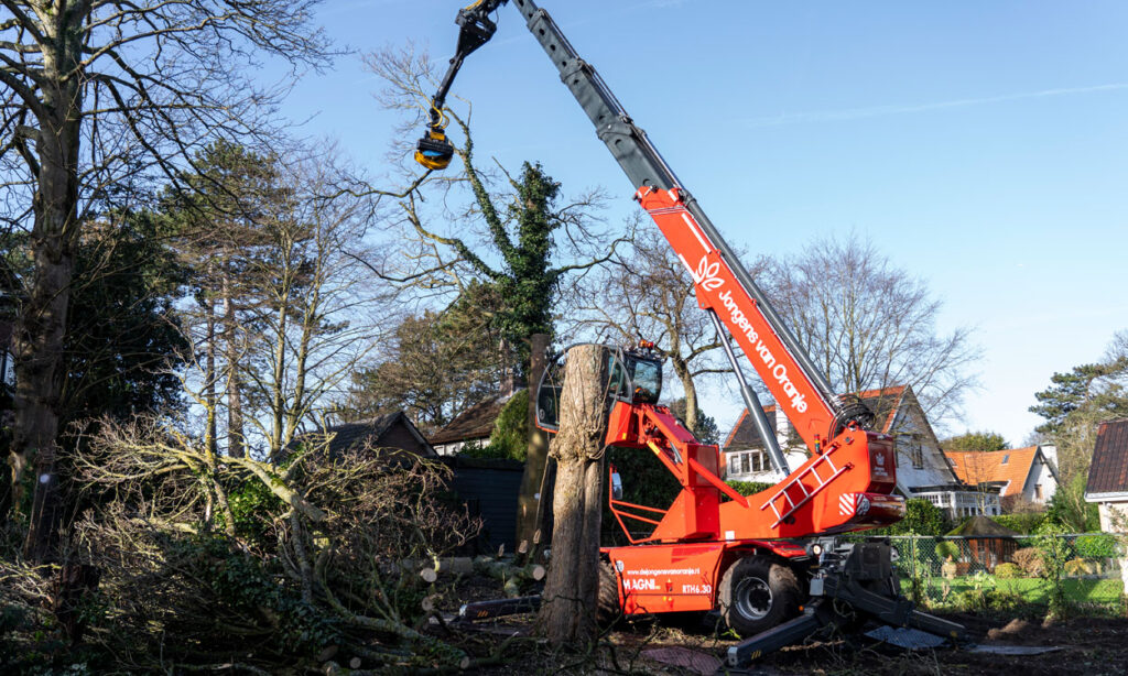 Bomen-overveen-Jongens-van-Oranje