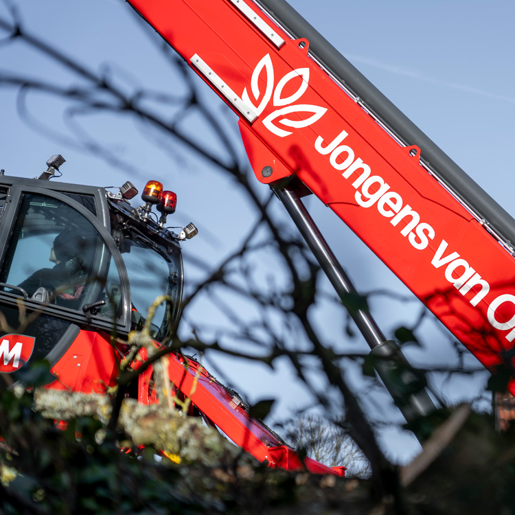 Bomen-overveen-Jongens-van-Oranje2