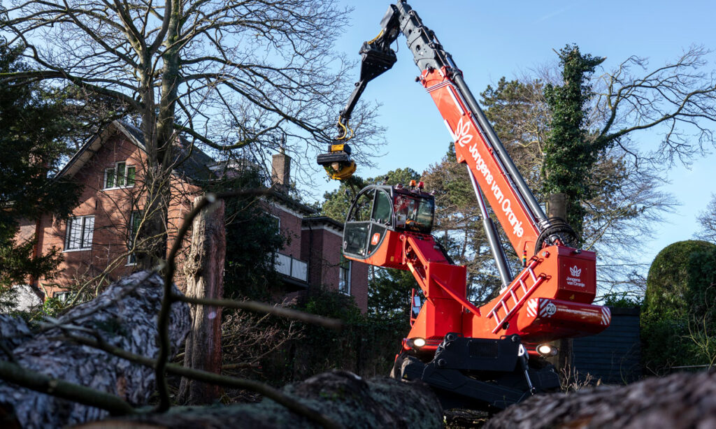 Bomen-overveen-Jongens-van-Oranje7