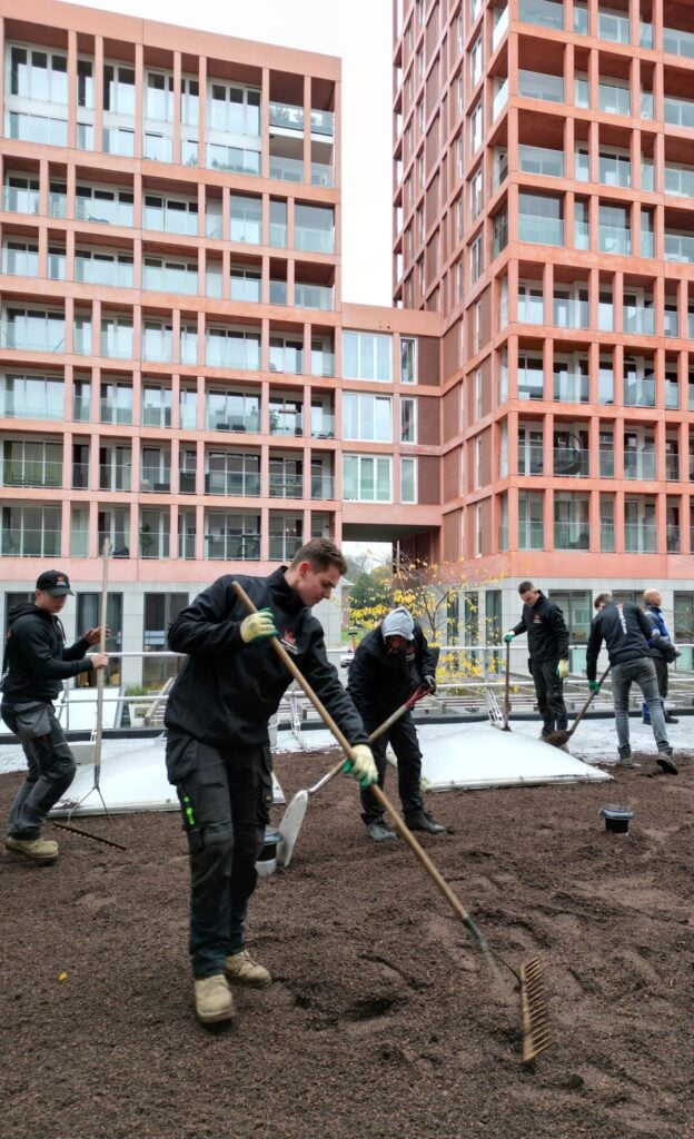 dji_fly_20231122_143358_803_1701371225292_photo