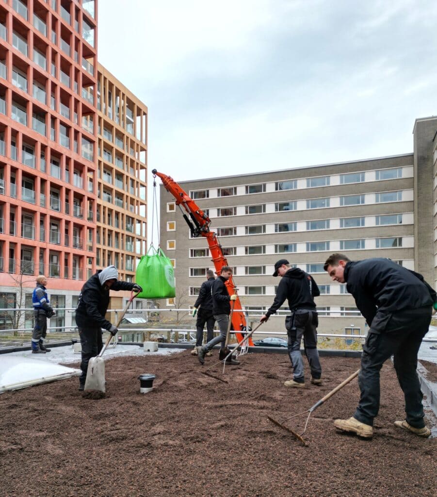 dji_fly_20231122_143422_806_1701371226047_photo