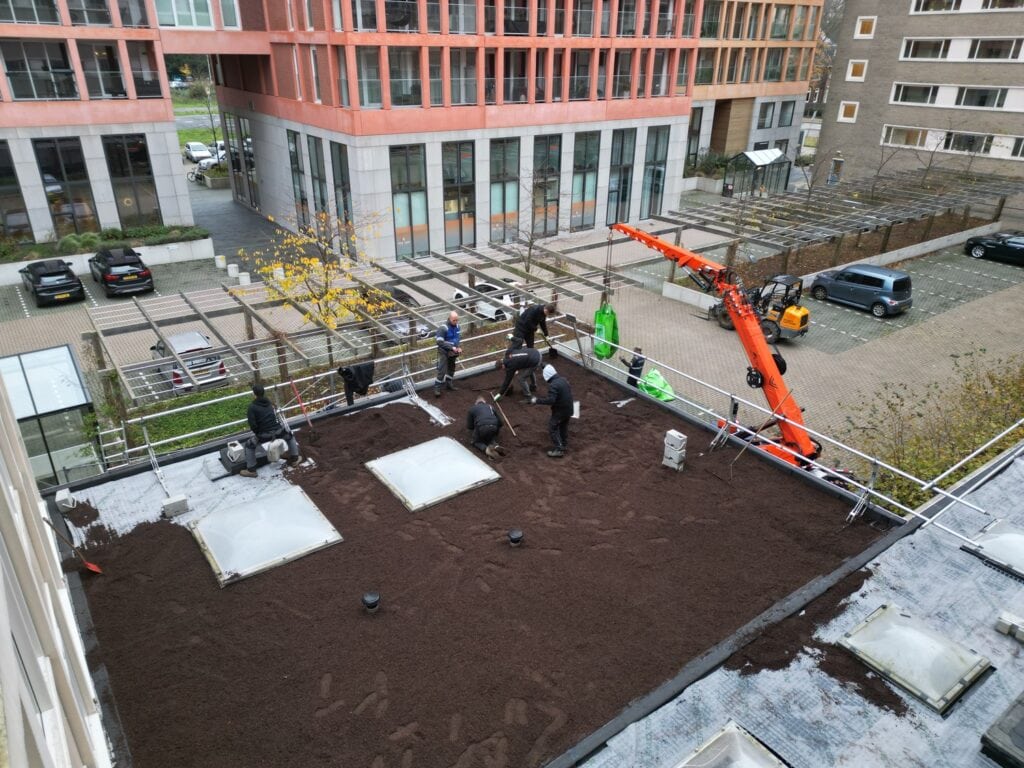 dji_fly_20231122_143714_819_1701371229706_photo