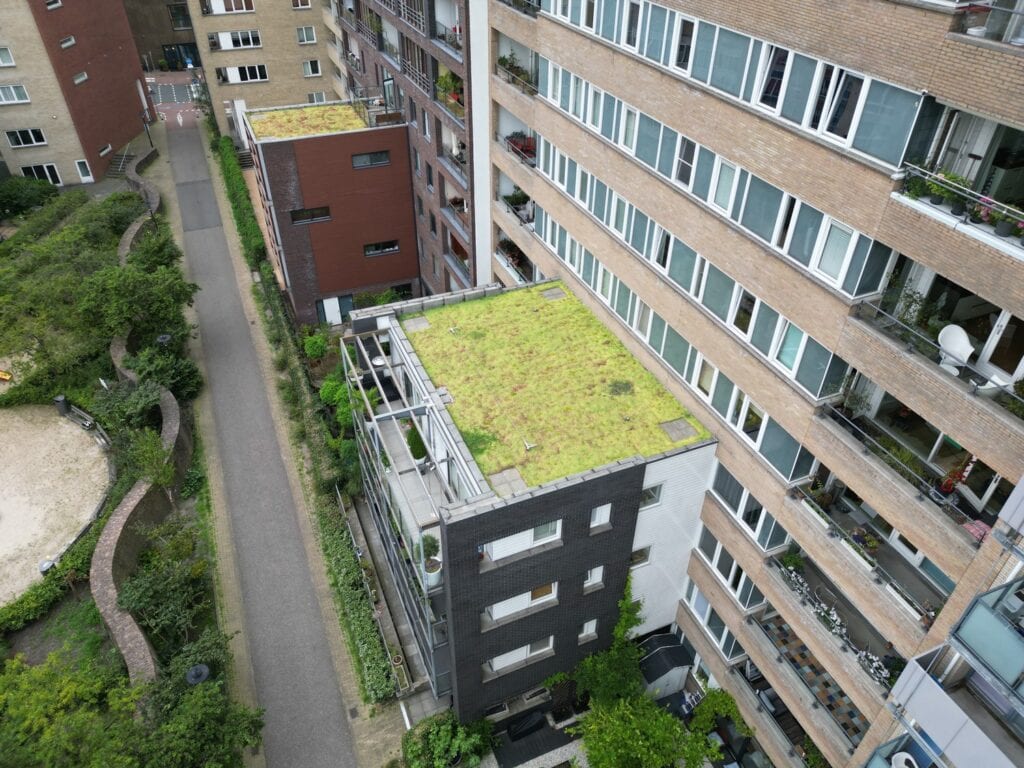 dji_fly_20240802_165446_328_1722525544575_photo