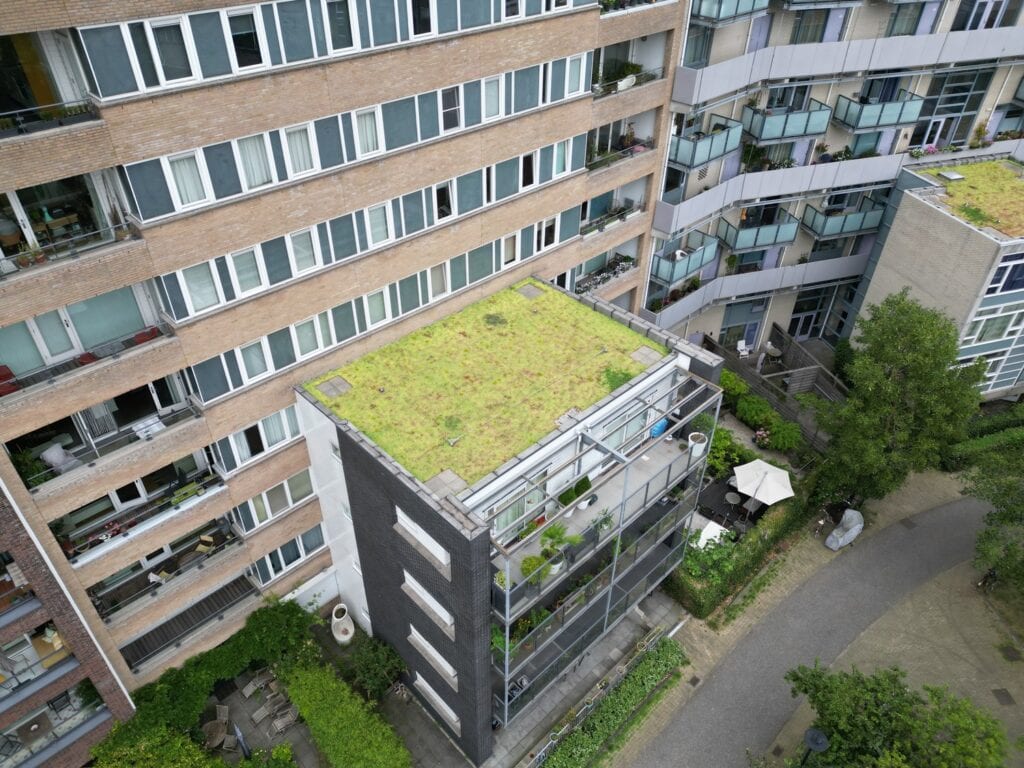 dji_fly_20240802_165614_331_1722525543518_photo