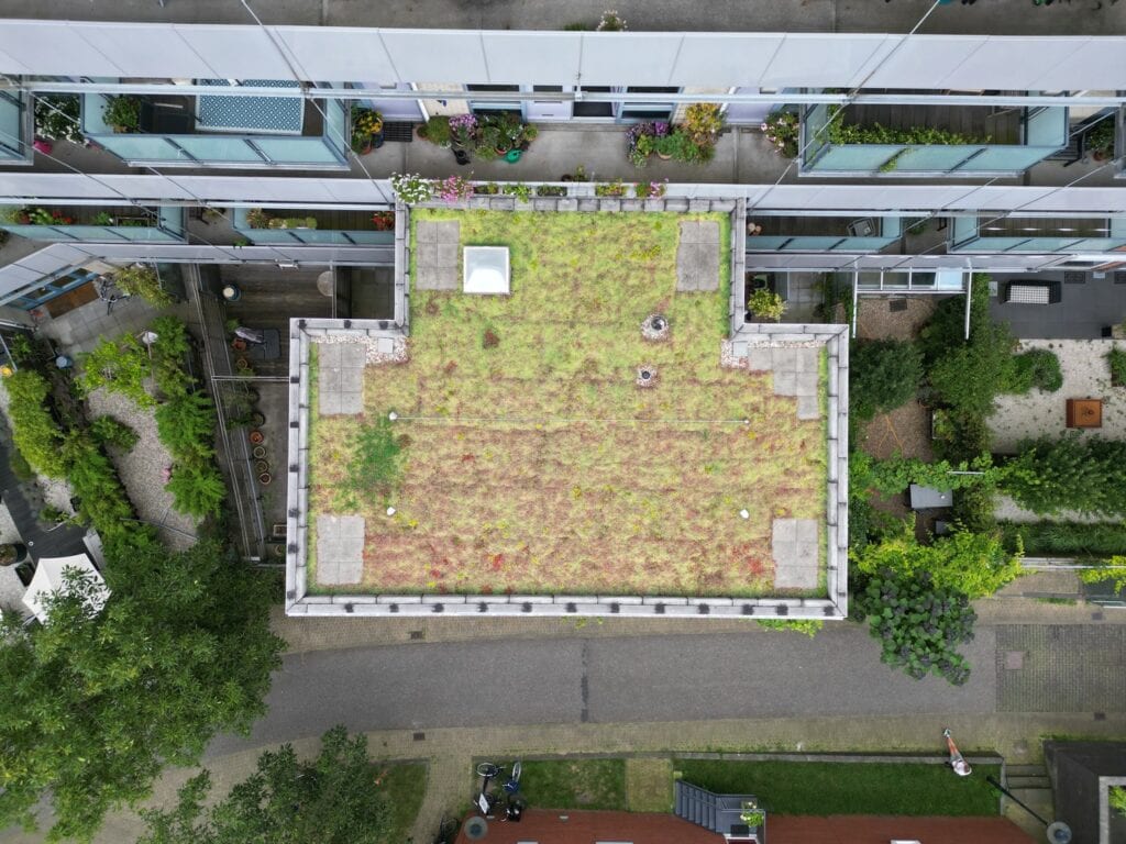 dji_fly_20240802_165802_335_1722525542170_photo