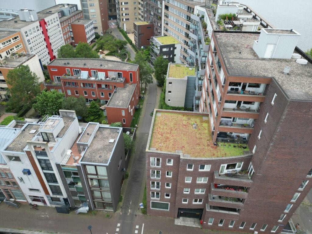 dji_fly_20240802_165948_339_1722525541053_photo