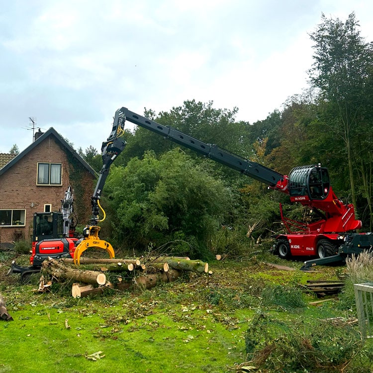 Boomverzorging-Jongens-van-Oranje-Castricum