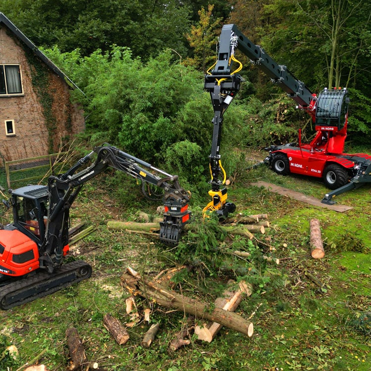 Boomverzorging-Jongens-van-Oranje-Castricum1