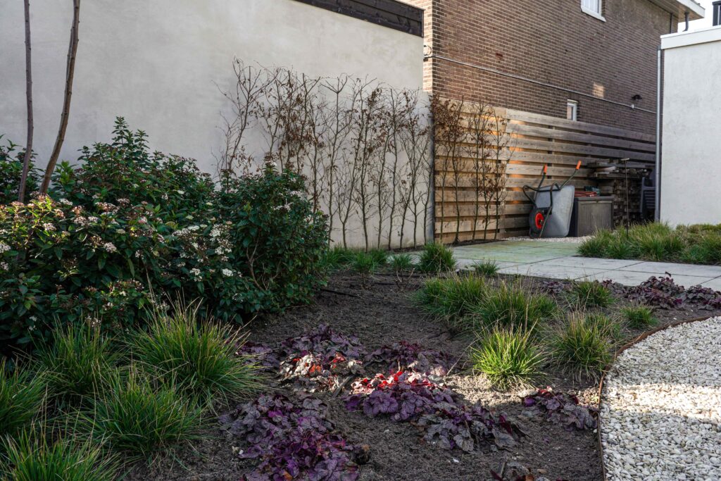 DSC03544 Tuin Zandvoort