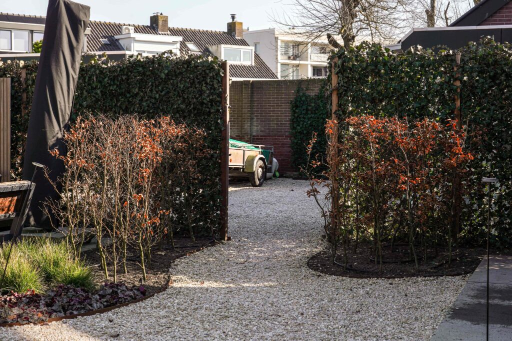 DSC03552 Tuin Zandvoort