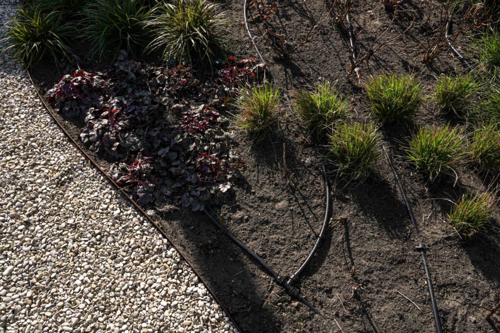 DSC03571 Tuin Zandvoort