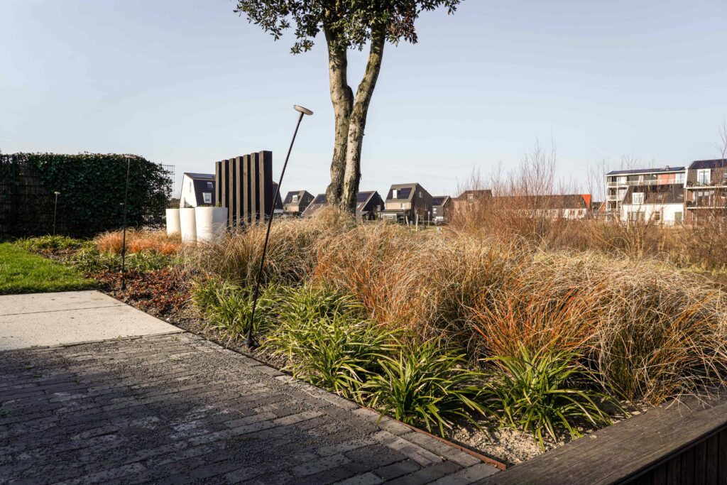 DSC03478 tuin beverwijk