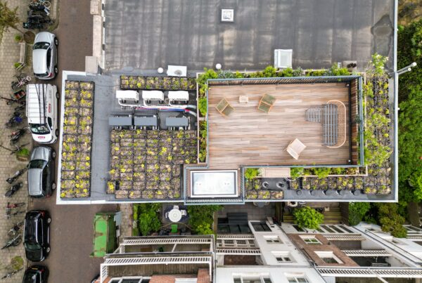 dakterras Amsterdam